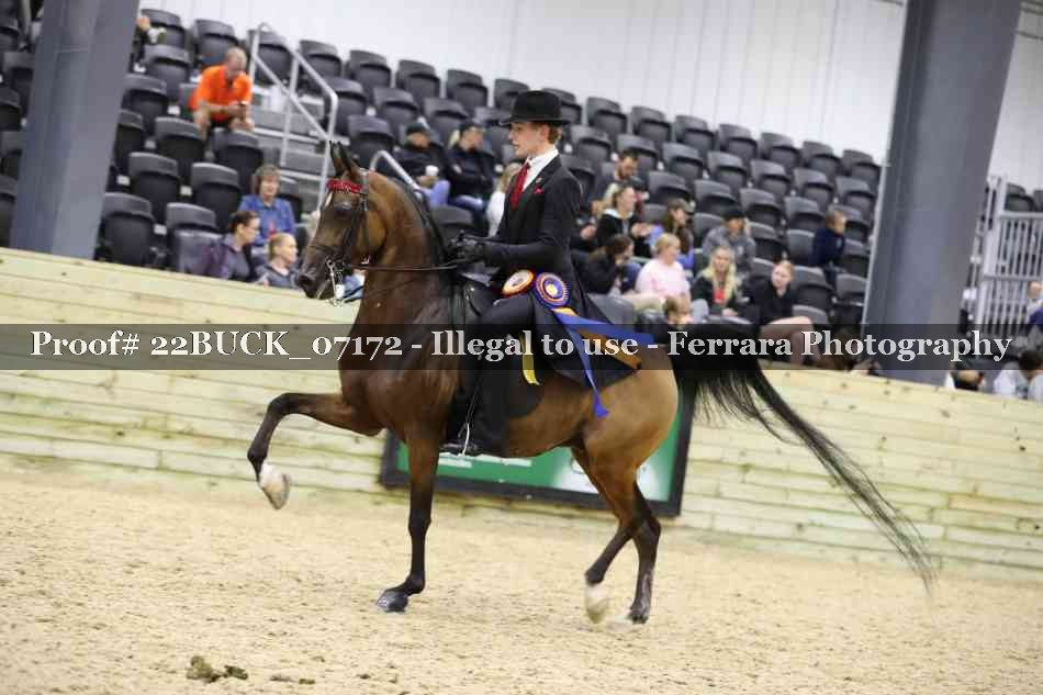 Proof 22BUCK_07172