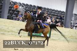 22BUCK_07172 proof
