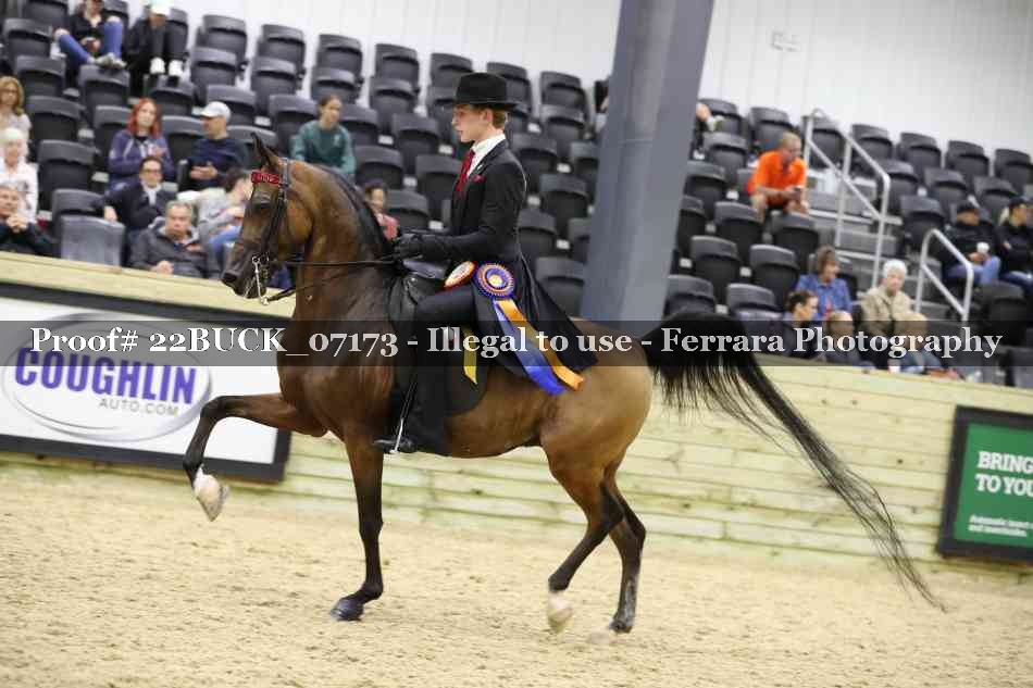 Proof 22BUCK_07173