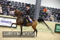 22BUCK_07173 proof