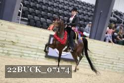 22BUCK_07174 proof