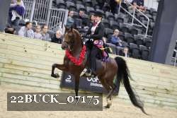 22BUCK_07175 proof