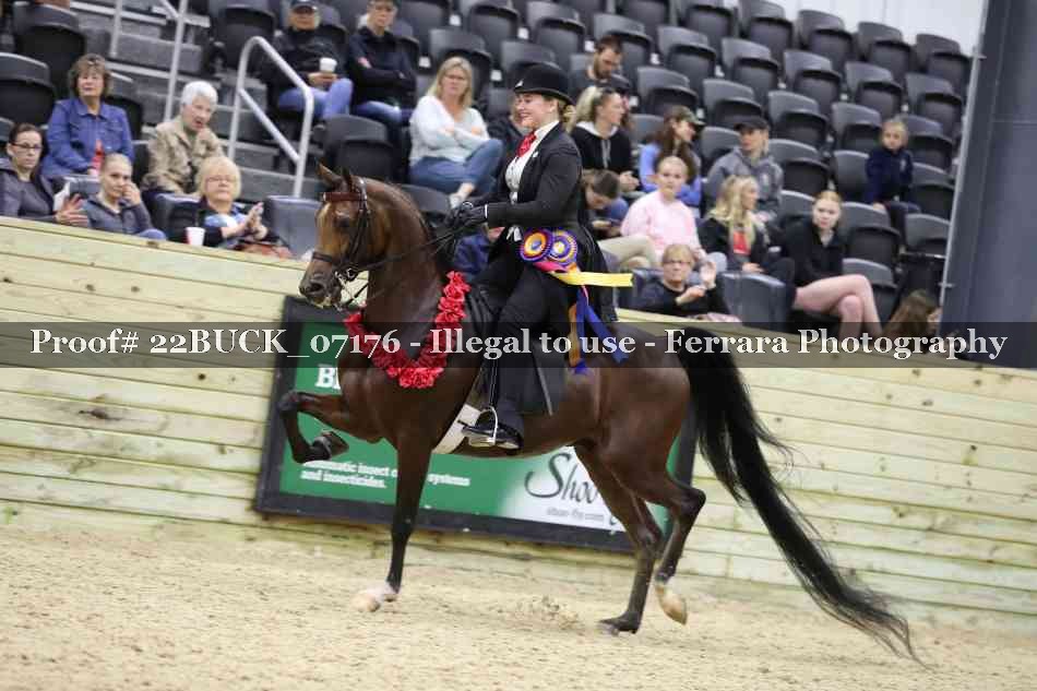 Proof 22BUCK_07176