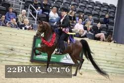 22BUCK_07176 proof