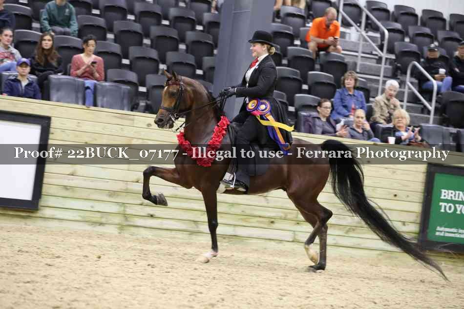 Proof 22BUCK_07177