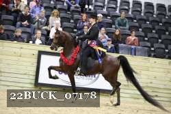22BUCK_07178 proof
