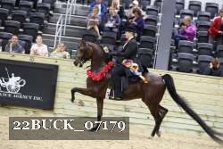 22BUCK_07179 proof