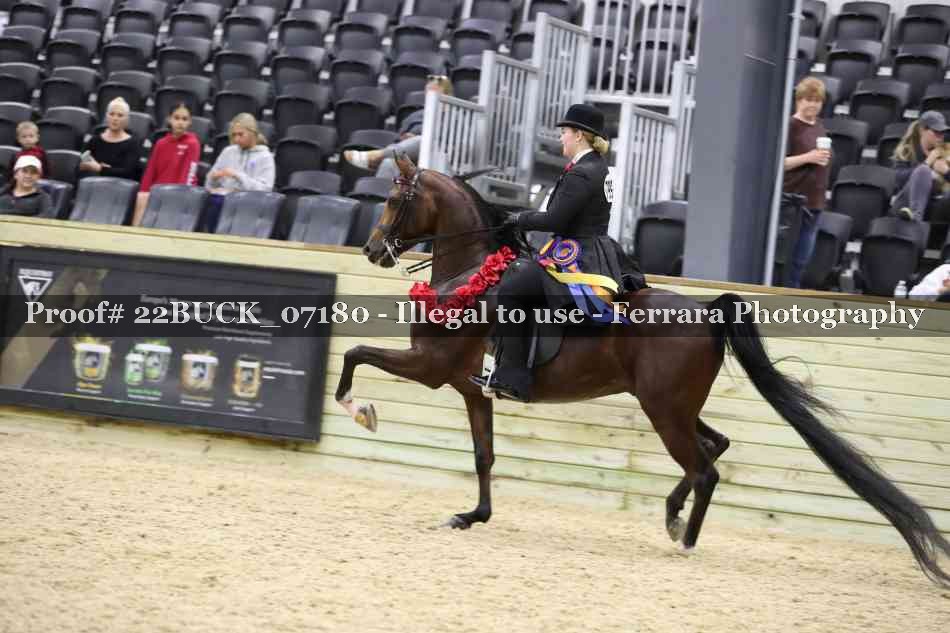 Proof 22BUCK_07180