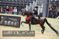 22BUCK_07180 proof