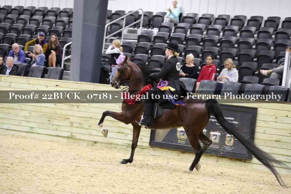 Proof 22BUCK_07181