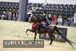 22BUCK_07181 proof