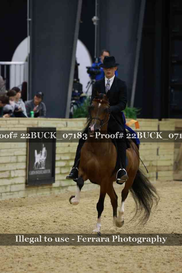 Proof 22BUCK_07183