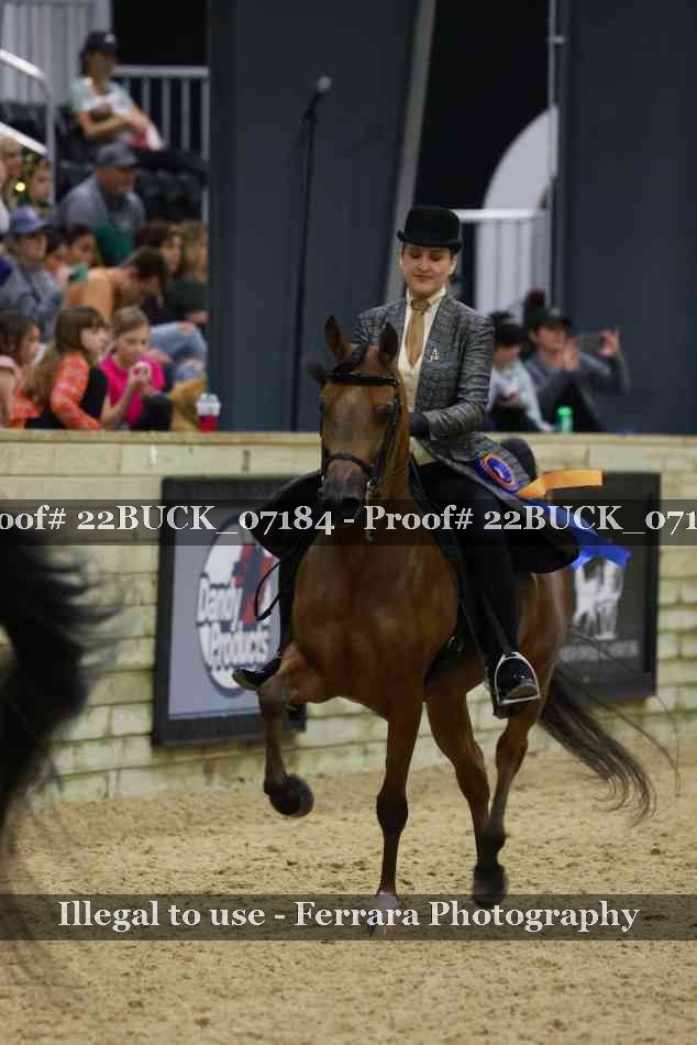 Proof 22BUCK_07184