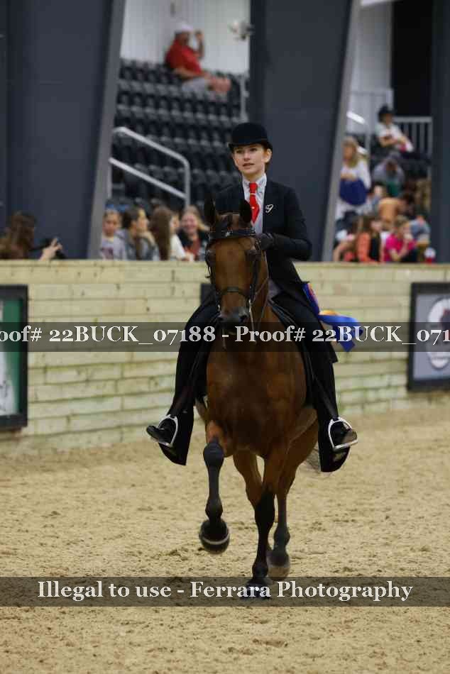 Proof 22BUCK_07188
