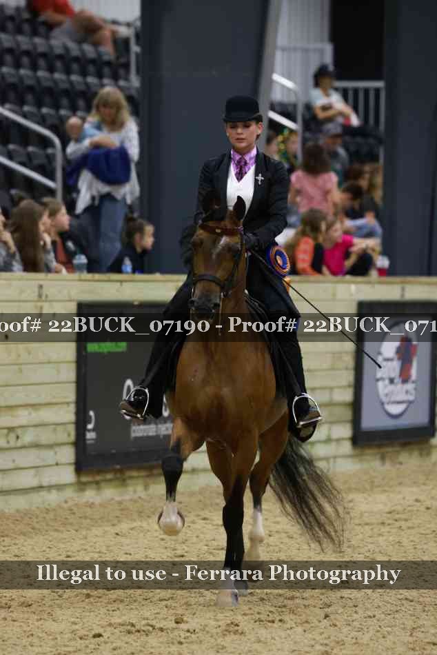 Proof 22BUCK_07190