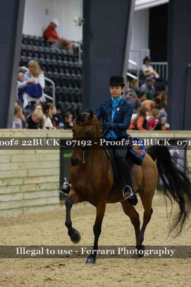 Proof 22BUCK_07192