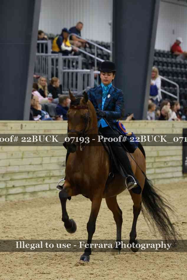 Proof 22BUCK_07193