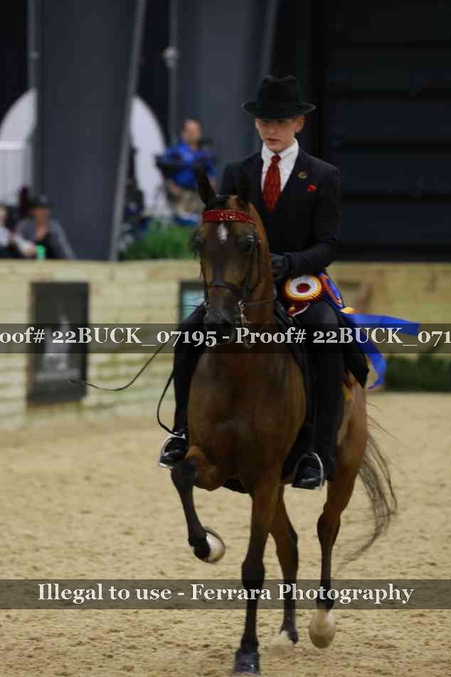 Proof 22BUCK_07195
