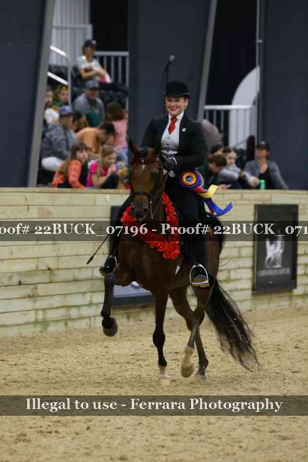 Proof 22BUCK_07196