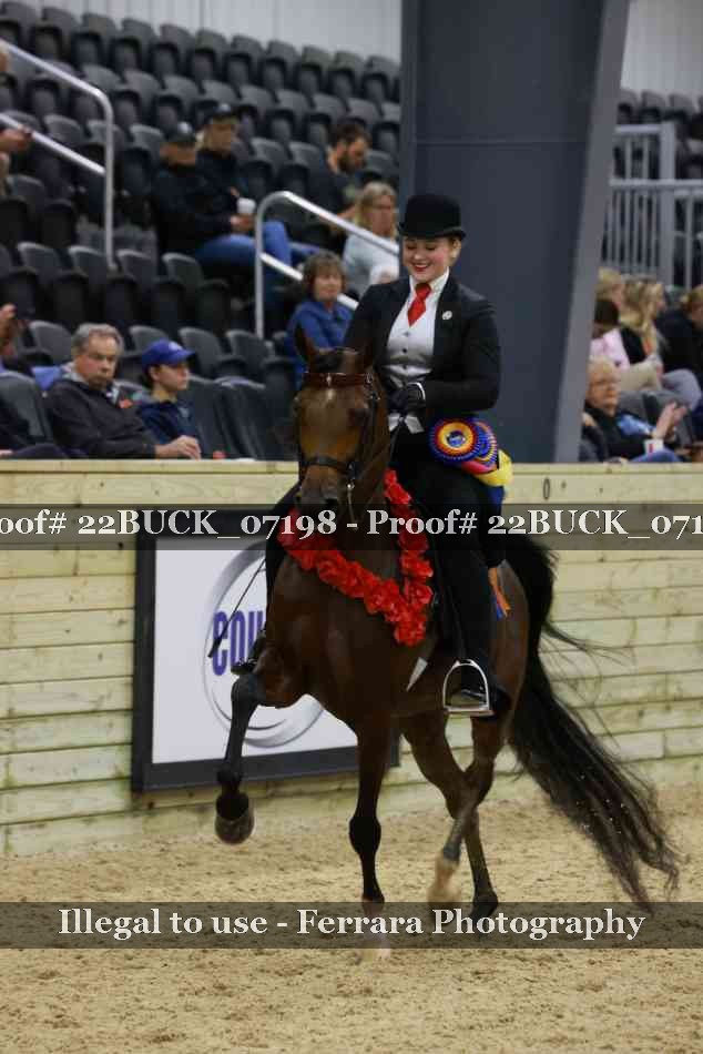 Proof 22BUCK_07198