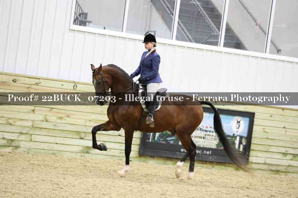 Proof 22BUCK_07203