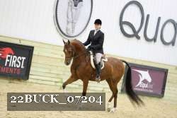 22BUCK_07204 proof