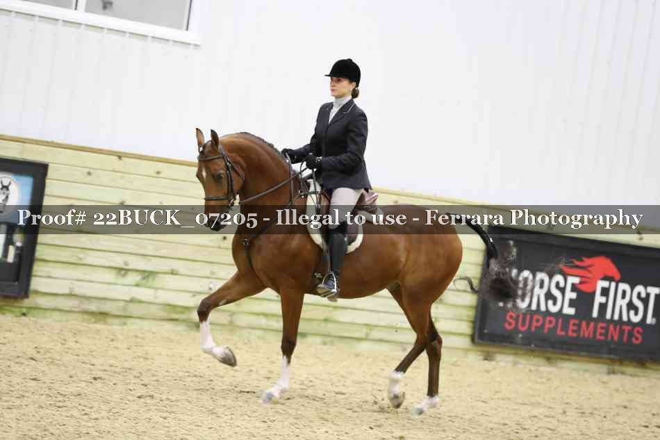 Proof 22BUCK_07205