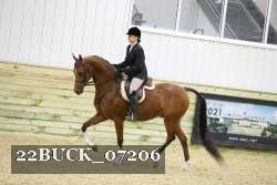 22BUCK_07206 proof