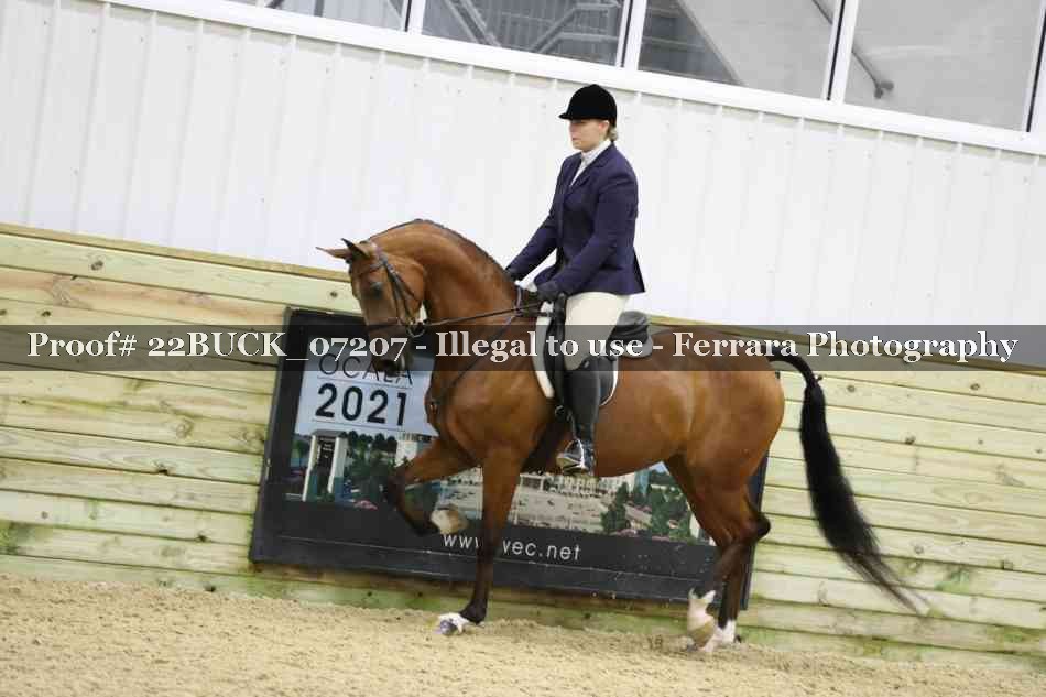 Proof 22BUCK_07207