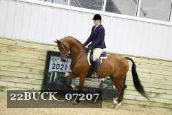 22BUCK_07207 proof