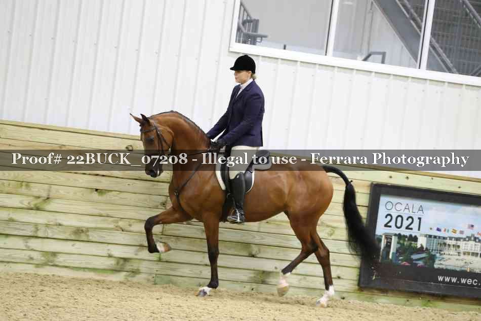 Proof 22BUCK_07208