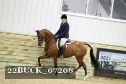 22BUCK_07208 proof