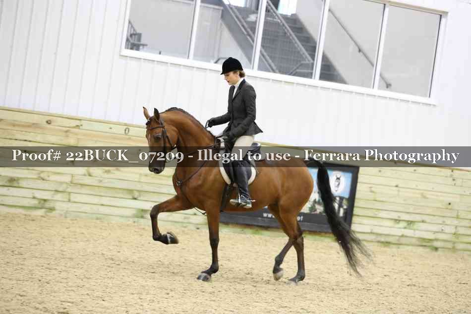 Proof 22BUCK_07209