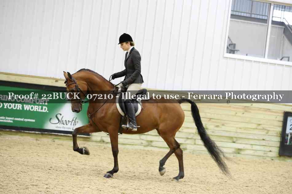 Proof 22BUCK_07210