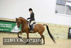 22BUCK_07210 proof
