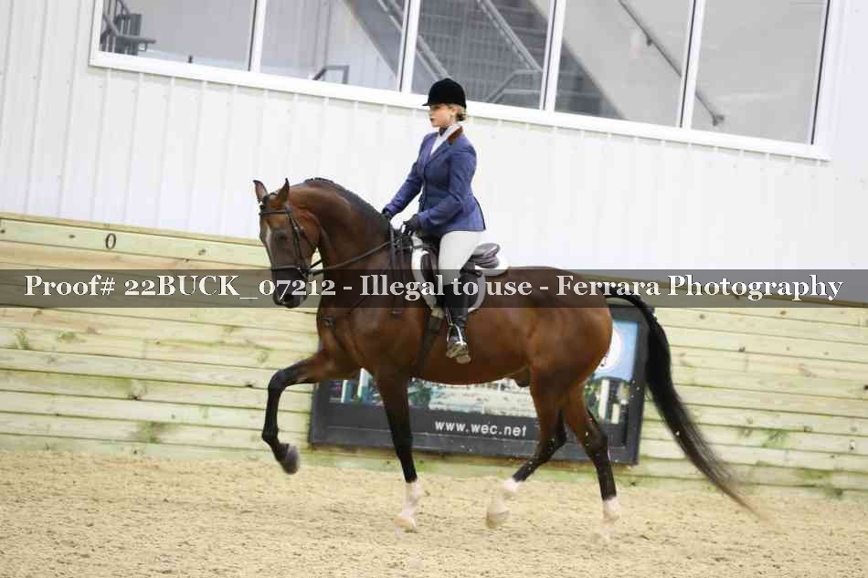 Proof 22BUCK_07212
