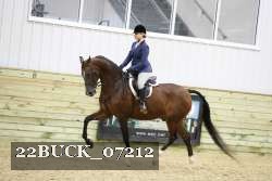 22BUCK_07212 proof