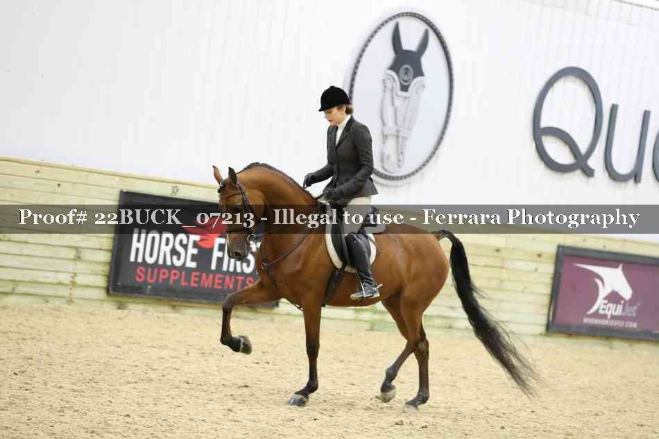 Proof 22BUCK_07213