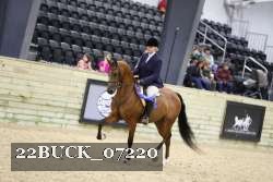 22BUCK_07220 proof