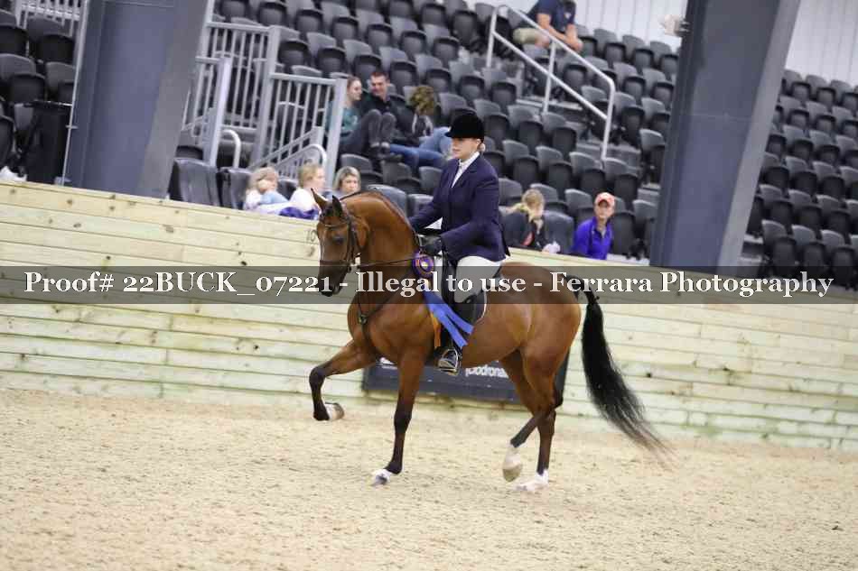 Proof 22BUCK_07221