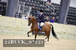 22BUCK_07221 proof