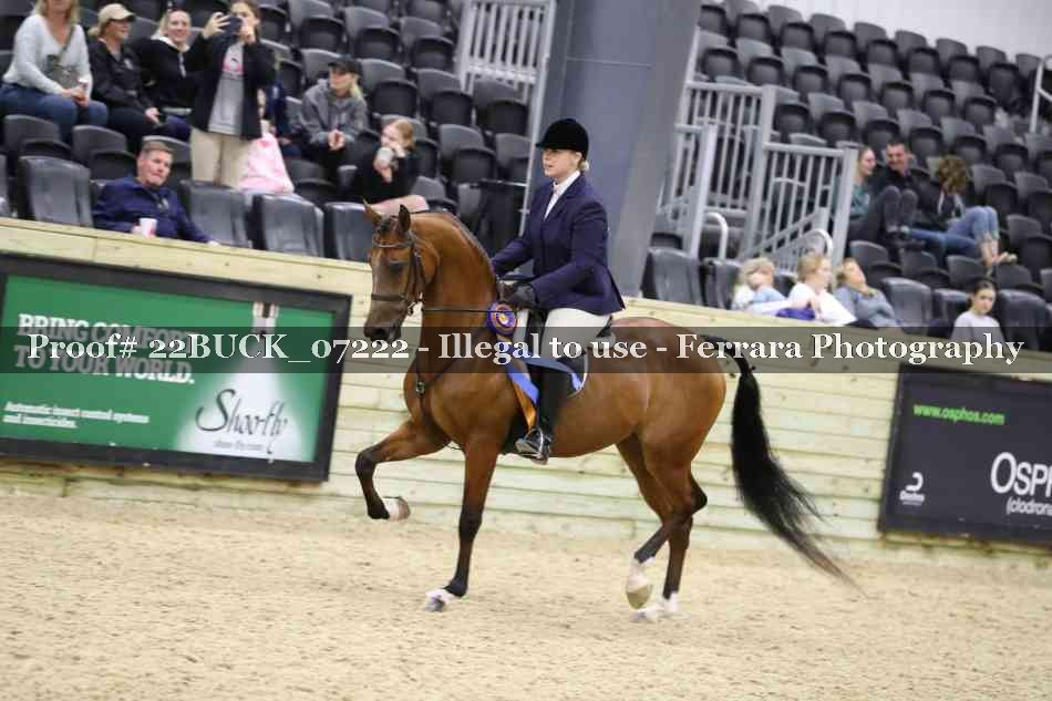 Proof 22BUCK_07222