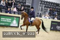 22BUCK_07222 proof