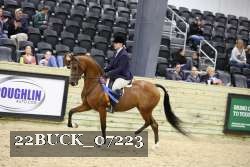 22BUCK_07223 proof
