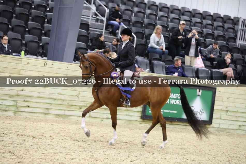 Proof 22BUCK_07226