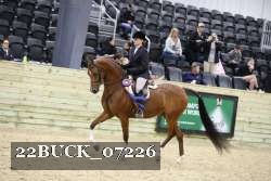 22BUCK_07226 proof