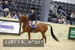 22BUCK_07227 proof