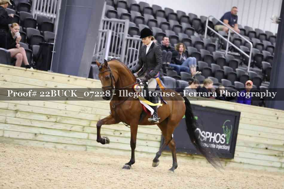 Proof 22BUCK_07228