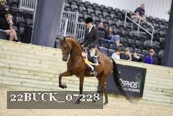 22BUCK_07228 proof