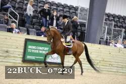 22BUCK_07229 proof
